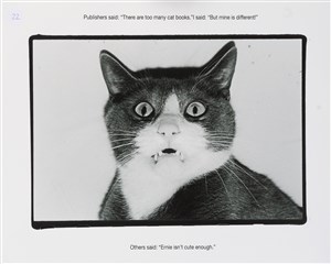 Image description is not available for 2024.233